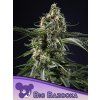 Big Bazooka 600x800 1