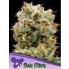 Anesia Seeds Bola Mintz