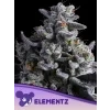 Anesia Seeds Elementz