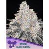 Anesia Seeds Frozen Black Cherry