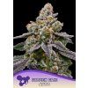 Anesia Seeds Frozen Face Auto