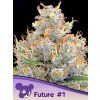 Anesia Seeds Future #1