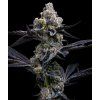 Barney's Farm Garlic Cookies