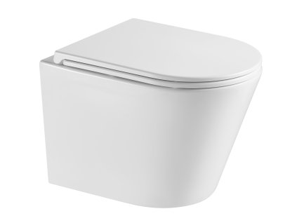 HOPA Závěsné WC OVALE BASSO TORNADO s FLAT sedátkem Soft-close OLKLT053EUQ3