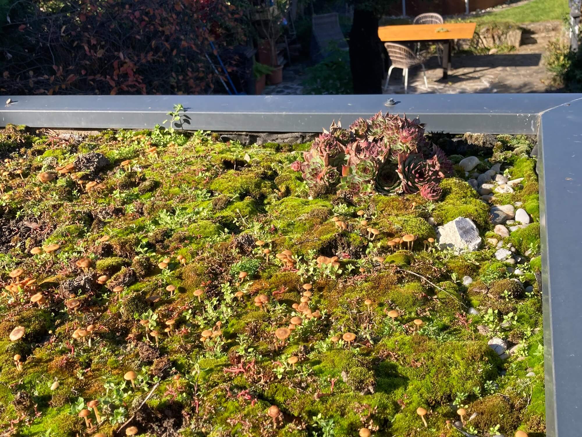 Zelená střecha na zahradním domku? Skvělý nápad, ale pozor na statiku!