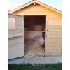 1424 3 1424 3 chlev pro kozy