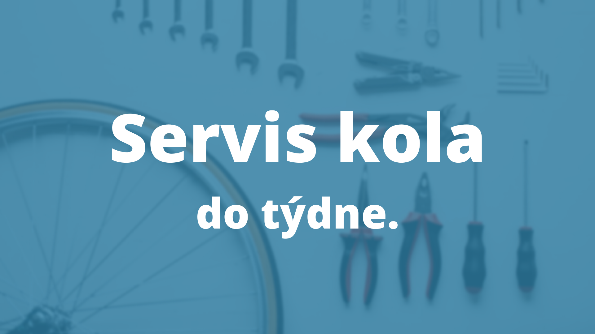 servis kol