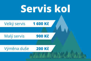 Ceny servisů