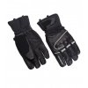 BLIZZARD Competition ski gloves, black/silver