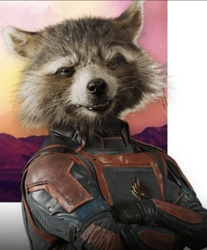 Rocket Raccoon (hlas Bradley Cooper) vo filme