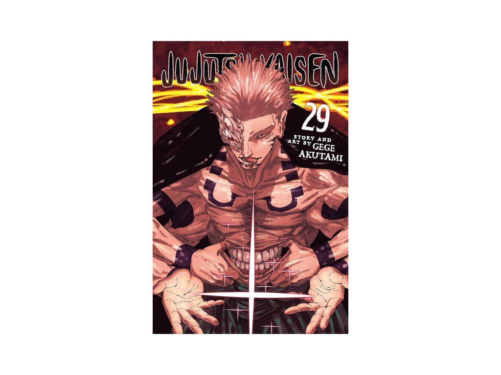 jujutsu kaisen 29 manga 9781974762019