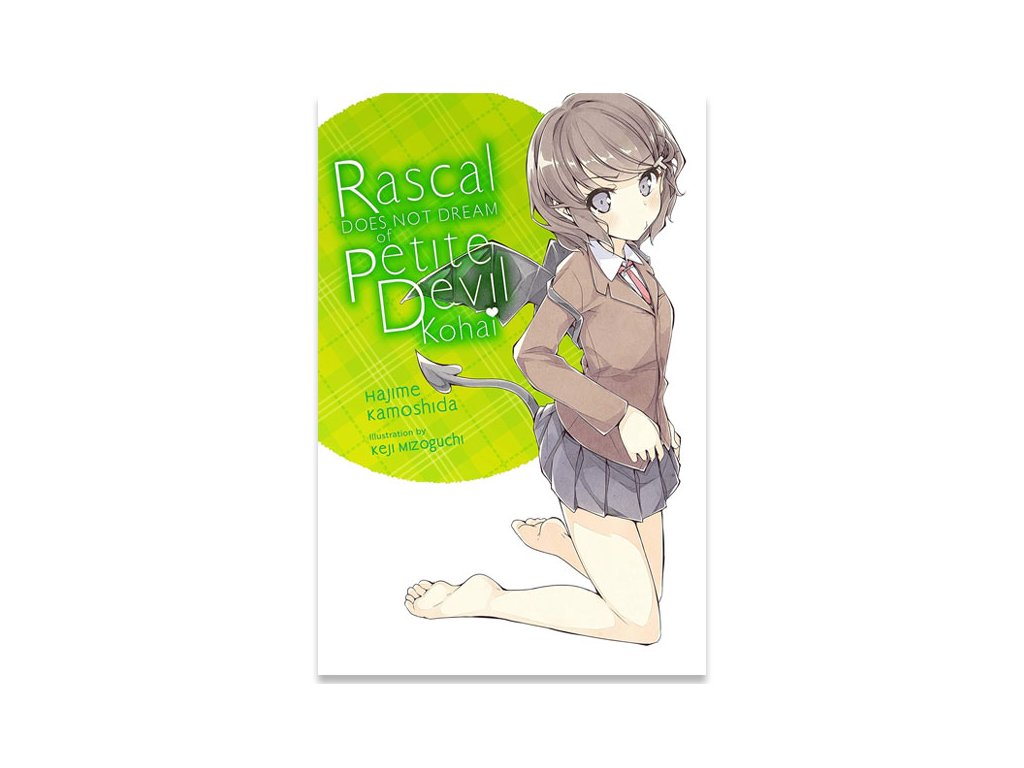 rascal does not dream of bunny girl senpai 2 light novel kniha 9781975312541