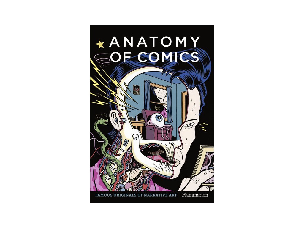 anatomy of comics famous originals of narrative art 9782080281876