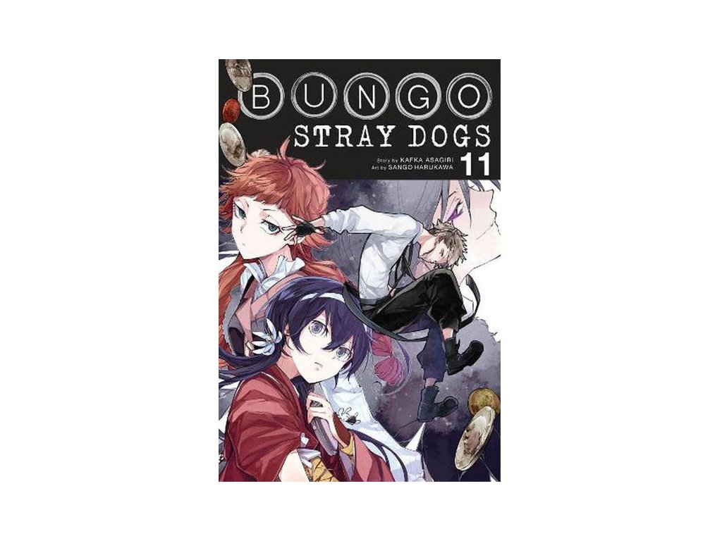 bungo stray dogs 11 9781975304492