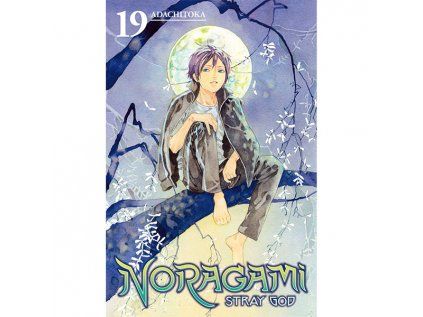 Noragami: Stray God 19