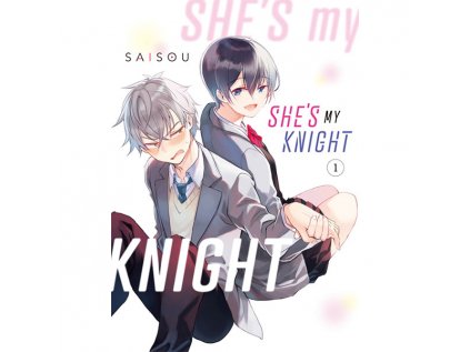 she s my knight 1 9781646519750 1