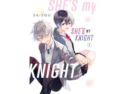 She's My Knight 1