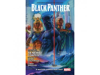 black panther 1 a nation under our feet deluxe edition 9781302904159 1