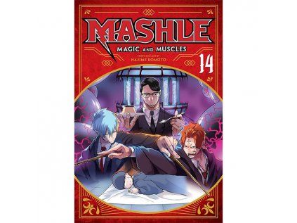 Mashle: Magic and Muscles 14