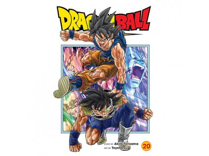 dragon ball super 20 9781974743605 1