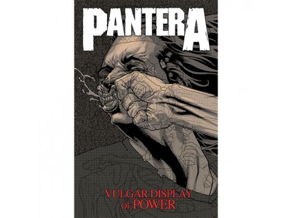 pantera vulgar display of power 9781954928572 1