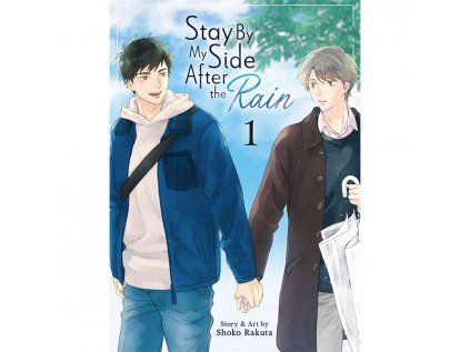 Stay By My Side After the Rain 1