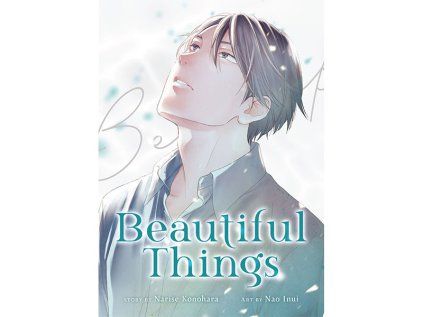 Beautiful Things: The Complete Manga Collection
