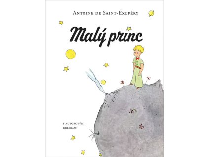maly princ kniha 9788055641423