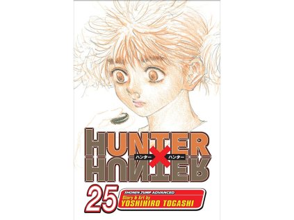hunter x hunter 25 manga 9781421525884