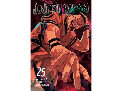 Jujutsu Kaisen 25