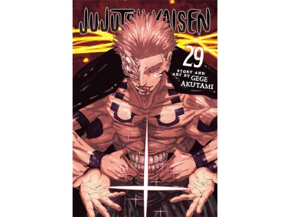 jujutsu kaisen 29 manga 9781974762019
