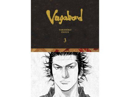 Vagabond Definitive Edition 3