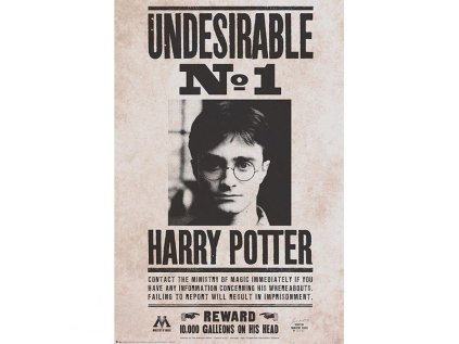 harry potter undesirable n 1 91 5 x 61 cm 3665361065173