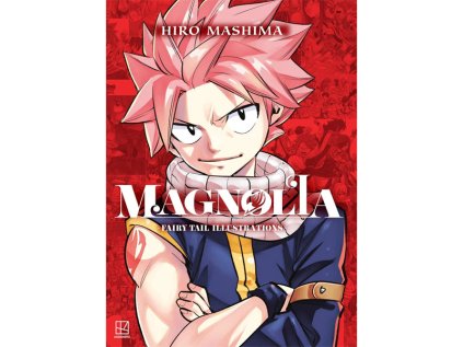 magnolia fairy tail illustrations kniha artbook 9798888777039