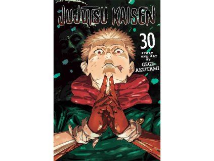 Jujutsu Kaisen 30