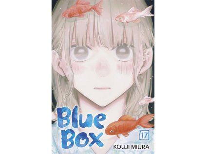 Blue Box 17