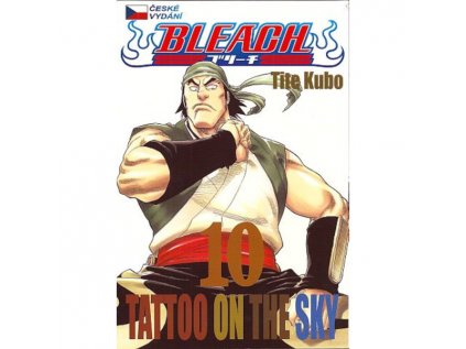 Bleach 10