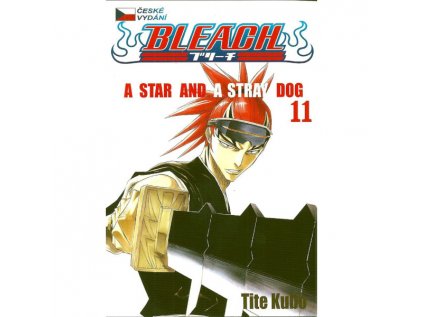 Bleach 11