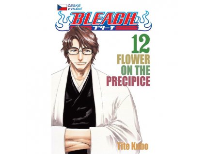 Bleach 12