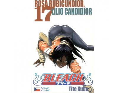 Bleach 17