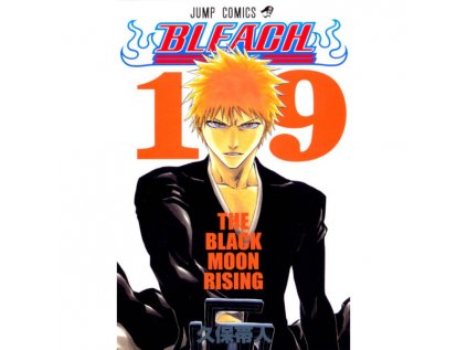 Bleach 19