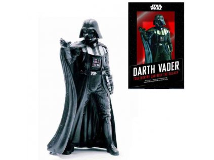 Star Wars Darth Vader Box: Together We Can Rule the Galaxy