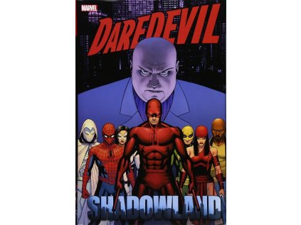 Daredevil: Shadowland Omnibus