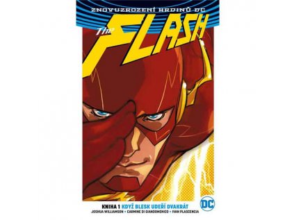 Flash 1: Když blesk udeří dvakrát (Znovuzrození hrdinů DC)