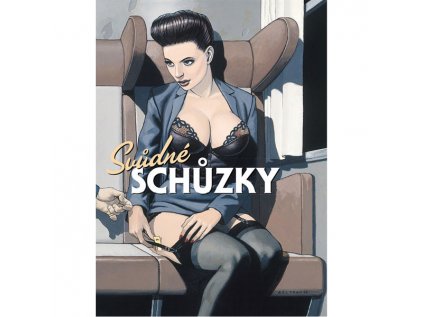 svudne schuzky 9788074495663