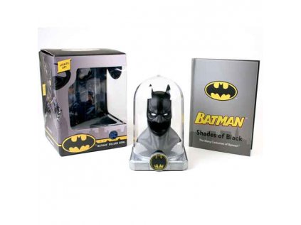 Batman: Deluxe Cowl: Lights up! (15 cm)