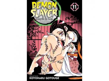 Demon Slayer: Kimetsu no Yaiba 11