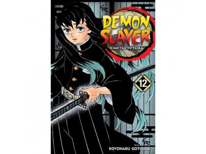 Demon Slayer: Kimetsu no Yaiba 12