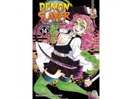 Demon Slayer: Kimetsu no Yaiba 14