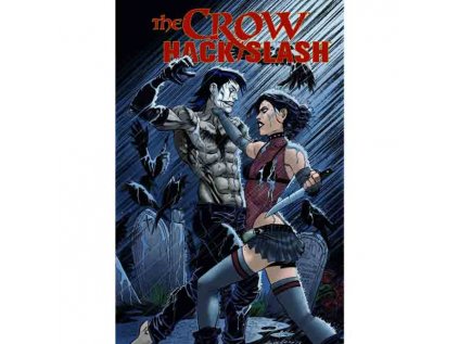 Crow: Hack/Slash - She Wears Shadows